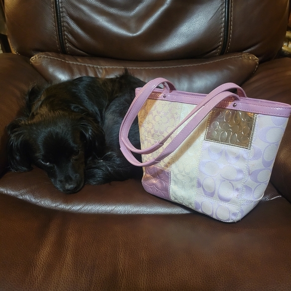 Meet LT Toby - Picture 13 of 13